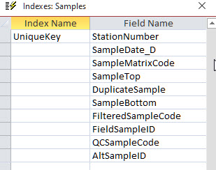 Fields used to define the Unique Index in the Samples Table